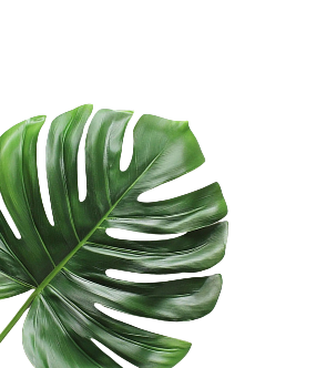 l-leaf