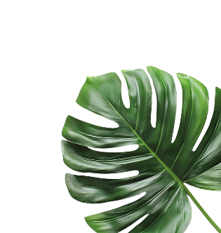r-leaf